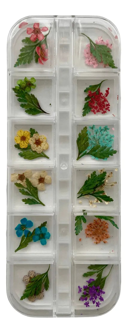 Set decoración uñas | Naturaleza muerta